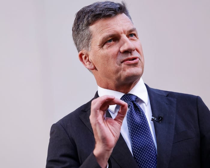 Angus Taylor accused of ‘dog-whistling’ and marginalising immigrants over plan to cut benefits to non-citizens