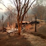 Most NSW homes destroyed in black summer bushfires were within 100 metres of vegetation