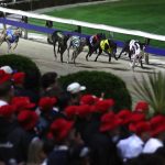 Gone to the dogs: racing fans mourn closure of ‘Wenty’, Sydney’s historic greyhound track