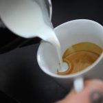 Australian politics live: businesses increasing prices under cover of surcharge ban, UBS economists warn; fire ants in Sydney’s inner west