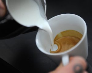 Australian politics live: businesses increasing prices under cover of surcharge ban, UBS economists warn; fire ants in Sydney’s inner west