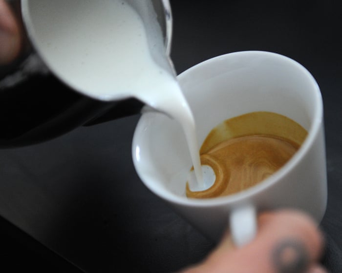 Australian politics live: businesses increasing prices under cover of surcharge ban, UBS economists warn; fire ants in Sydney’s inner west