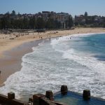 ‘Almost looks fake’: two Sydney beaches closed after whale carcass washes up