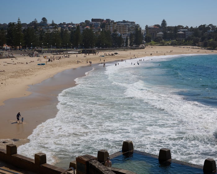 ‘Almost looks fake’: two Sydney beaches closed after whale carcass washes up