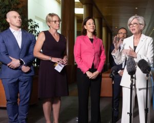 Zoe Daniel on her friend Helen Haines and the alleged attack in Indi – podcast
