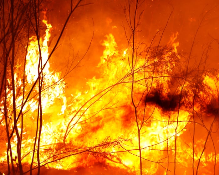 ‘Catastrophic wildfire loop’ after colonisation left parts of Australia more at risk from bushfires, study finds