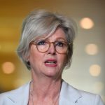 Car allegedly did U-turn and struck Helen Haines twice, in what some believe was targeted attack against MP