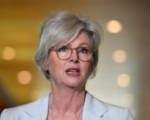 Car allegedly did U-turn and struck Helen Haines twice, in what some believe was targeted attack against MP