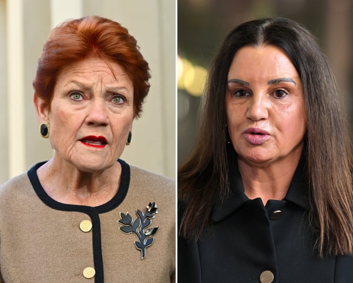 Jacqui Lambie condemns One Nation cartoon mocking her struggle with vaginal prolapse