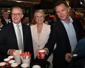 ‘I use disposable cups’: Chris Minns backflips on takeaway coffee cups after media and business backlash