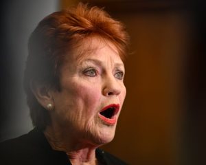 Politics live: Hanson calls Chalmers and staff ‘hypocrites’; RBA governor says more pain needed to control inflation