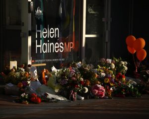 Labor, Coalition and crossbench MPs afraid at home and work after alleged attack on Helen Haines